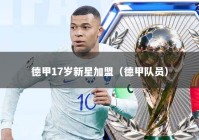 德甲17岁新星加盟（德甲队员）