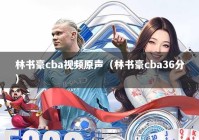 林书豪cba视频原声（林书豪cba36分）